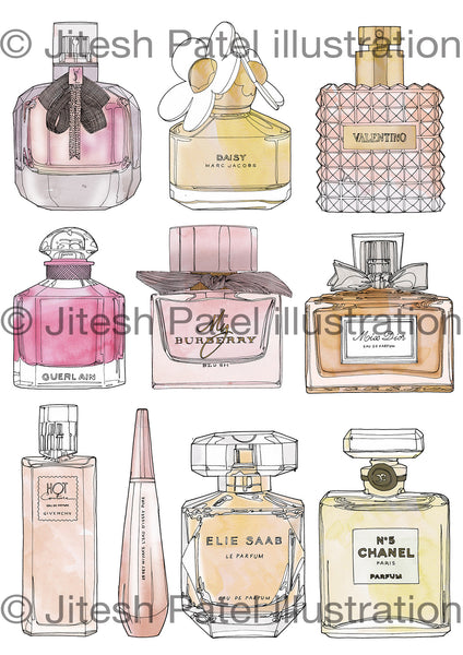 Perfume Bottle Study drawings Illustration Jitesh Patel